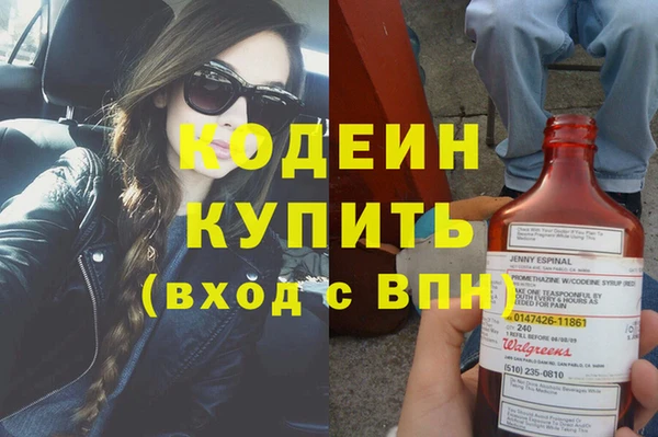 прущие грибы Армянск