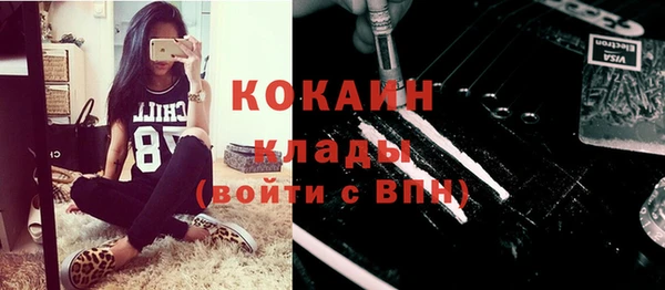 прущие грибы Армянск